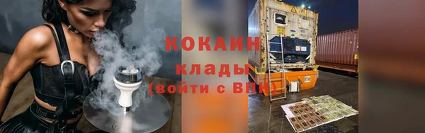 прущие грибы Абдулино