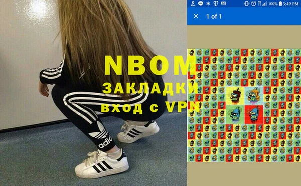 стаф Абаза