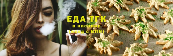 прущие грибы Абдулино